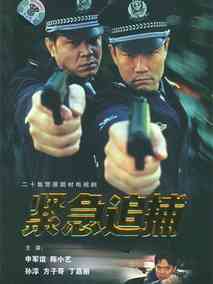 紧急追捕电视剧海报