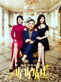 杨光的快乐生活之好好先生电视剧海报