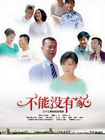 不能没有家电视剧海报