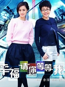 幸福请你等等我电视剧海报