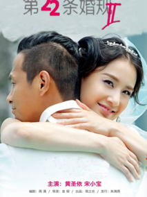 第22条婚规2海报